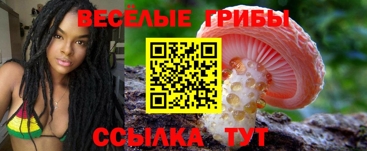 Галлюциногенные грибы мухоморы Нижневартовск